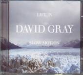 GRAY DAVID  - CD LIFE IN SLOW MOTION
