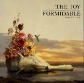 JOY FORMIDABLE  - CD WOLF'S LAW