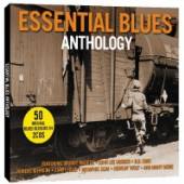 VARIOUS  - 2xCD ESSENTIAL BLUES..
