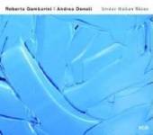 GAMBARINI ROBERTA  - 2xCD UNDER ITALIAN SKIES