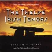 TWELVE IRISH TENORS  - CD LIVE IN CONCERT