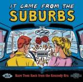  IT CAME FROM THE SUBURBS: RARE TEEN ROCK FROM THE - supershop.sk