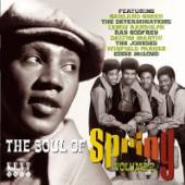 VARIOUS  - CD SOUL OF SPRING VOLUME 2