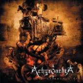 ACHYRONTHIA  - CD ECHOES OF BRUTALITY