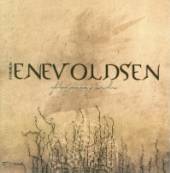 TORBEN ENEVOLDSEN  - CD FLYING SOLO