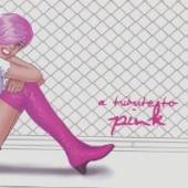  TRIBUTE TO P!NK - suprshop.cz