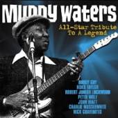 WATERS MUDDY.=TRIB=  - CD ALLSTAR TRIBUTE TO A LEGEND