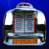 VARIOUS  - CD TRIBUTE TO BO DIDDLEY