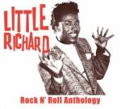 LITTLE RICHARD  - 2xCD+DVD ROCK 'N' ROLL.. -CD+DVD-