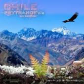 VARIOUS  - CD CHILE PSYTRANCE 2