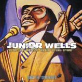 WELLS JUNIOR  - 2xCD PAINT THE TOWN BLUES