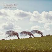 PINEAPPLE THIEF  - CD WHAT WE HAVE SOWN