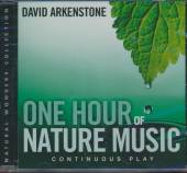 ARKENSTONE DAVID  - CD ONE HOUR OF NATURE MUSIC
