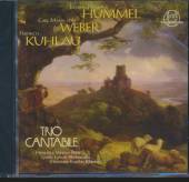 HUMMEL/WEBER/KUHLAU  - CD ADAGIO-TRIO