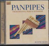  PANPIPES FROM BOLIVIA, PE - suprshop.cz