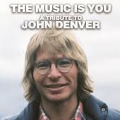DENVER JOHN.=TRIB=  - 2xVINYL MUSIC IS YOU..
