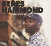 HAMMOND BERES  - 2xCD ONE LOVE ONE LIFE