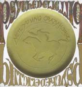  PSYCHEDELIC PILL [VINYL] - supershop.sk