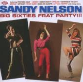 NELSON SANDY  - CD BIG SIXTIES FRAT PARTY!