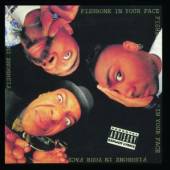 FISHBONE  - CD IN YOUR FACE