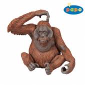  Orangutan [CZE] - supershop.sk
