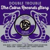 VARIOUS  - 2xCD DOUBLE TROUBLE -40TR.-