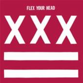 VARIOUS  - VINYL FLEX YOUR HEAD [VINYL]