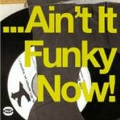  AIN'T IT FUNKY NOW! [VINYL] - suprshop.cz