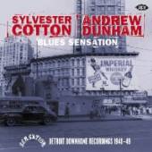  BLUES SENSATION: DETROIT DOWN HOME RECORDINGS 1948 - suprshop.cz