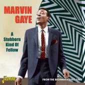 GAYE MARVIN  - CD STUBBORN KIND OF FELLOW