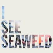 DRONES  - CD I SEE SEAWEED