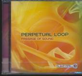 PERPETUAL LOOP  - CD PASSAGE OF SOUND