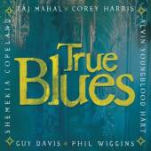 VARIOUS  - CD TRUE BLUES