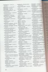  Slovensko-nemecký a nemecko-slovenský automobilový slovník - supershop.sk