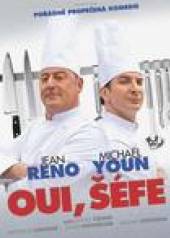  Oui, šéfe! (The Chef ) DVD - suprshop.cz