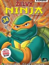  ŽELVY NINJA 34 (Teenage Mutant Ninja Turtles) DVD - supershop.sk