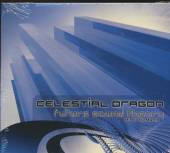 VARIOUS  - CD FUTURE SOUND THEORY-12TR-