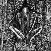  FOREST POETRY [VINYL] - supershop.sk