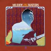 WATERS MUDDY  - CD UNK IN FUNK