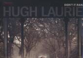 LAURIE HUGH  - VINYL DIDN'T IT RAIN [VINYL]