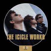 ICICLE WORKS  - 5xCD 5 ALBUMS BOX SET