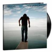  THE DIVING BOARD 2LP [VINYL] - supershop.sk