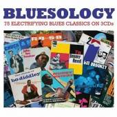 VARIOUS  - 3xCD BLUESOLOGY