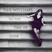 WILLIAMS DAR  - CD IN THE TIME OF GODS