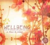 VARIOUS  - 2xCD WELLBEING