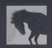 SIXTEEN HORSEPOWER  - 2xCD LIVE MARCH 2001