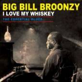 BROONZY BIG BILL  - VINYL I LOVE MY WHIS..