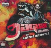 VARIOUS  - CD Jaguar Skills & His Amazi vo. 2