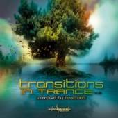 VARIOUS  - CD TRANSITIONS IN TRANCE 2