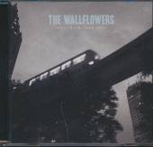 WALLFLOWERS  - CD COLLECTED: 1996-2005